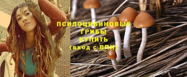 МДМА Бикин