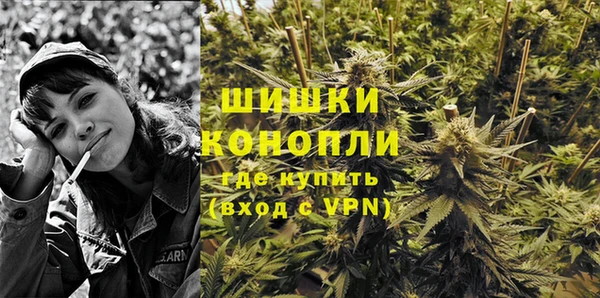 дурь Билибино