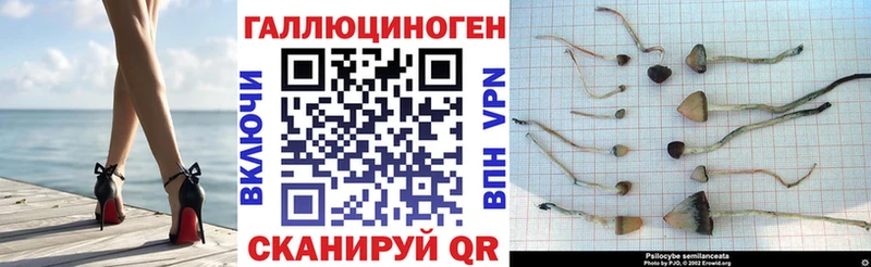 Галлюциногенные грибы Psilocybe  сколько стоит  Камышлов 