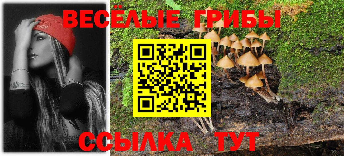 Галлюциногенные грибы Psilocybine cubensis  Вход с VPN  Псилоцибиновые грибы прущие грибы  Камышлов 