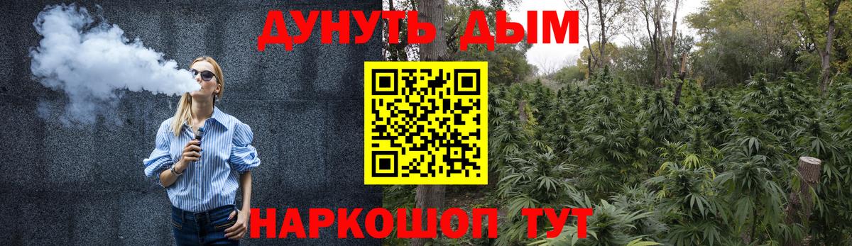 Камышлов  Каннабис White Widow  Вход с VPN  Конопля тримм 
